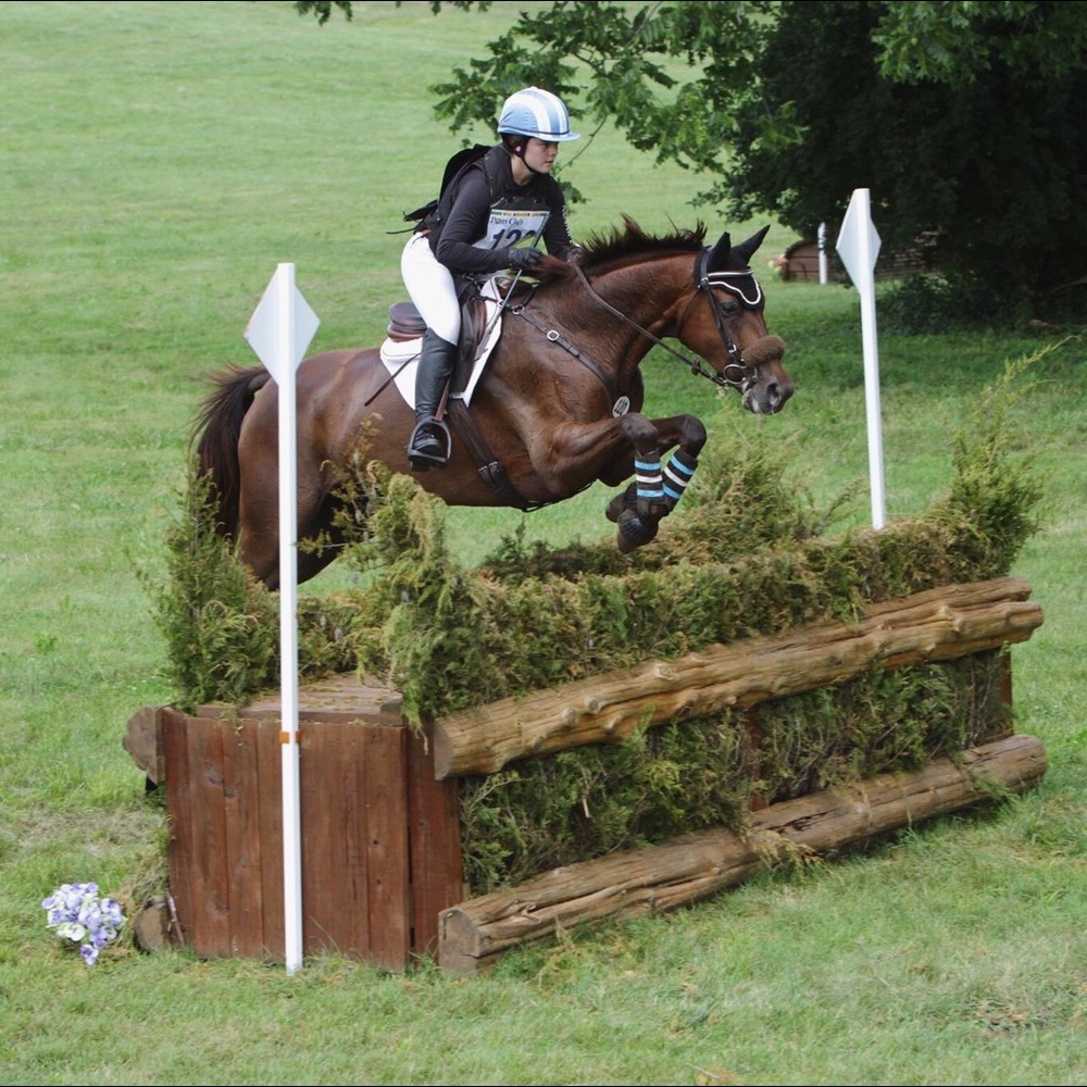 Meet your Posher, Maggie